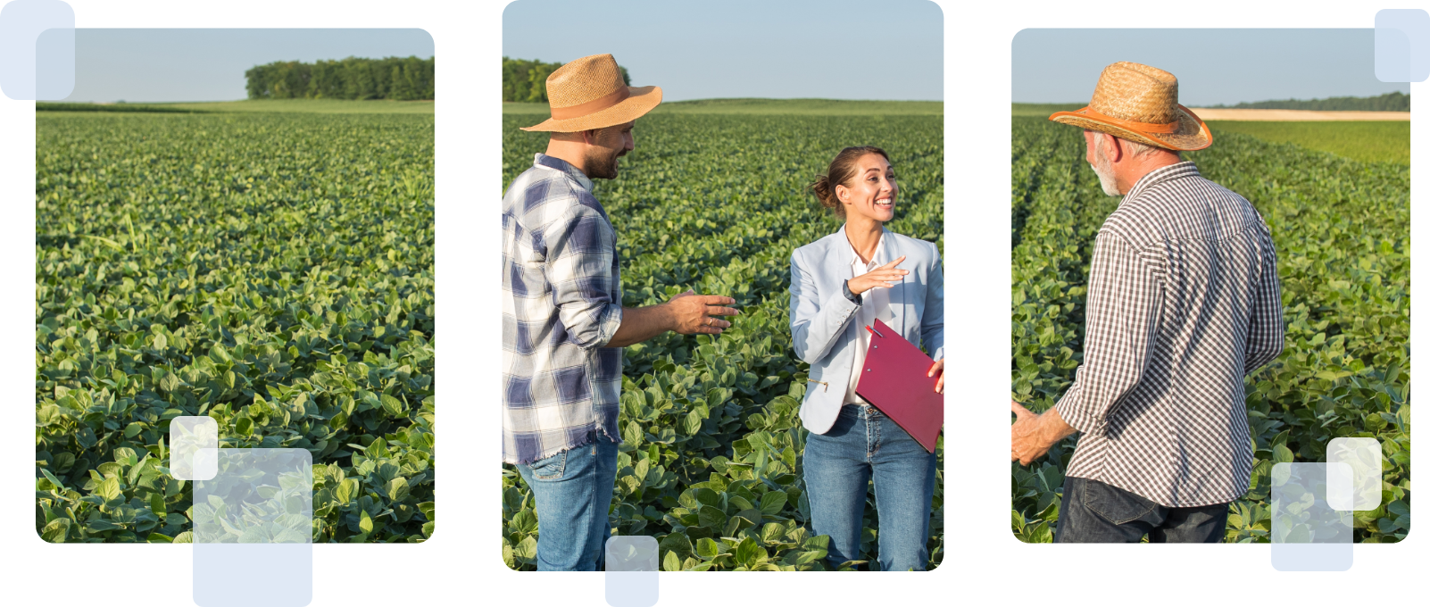 Disagro TalentCards customer story.